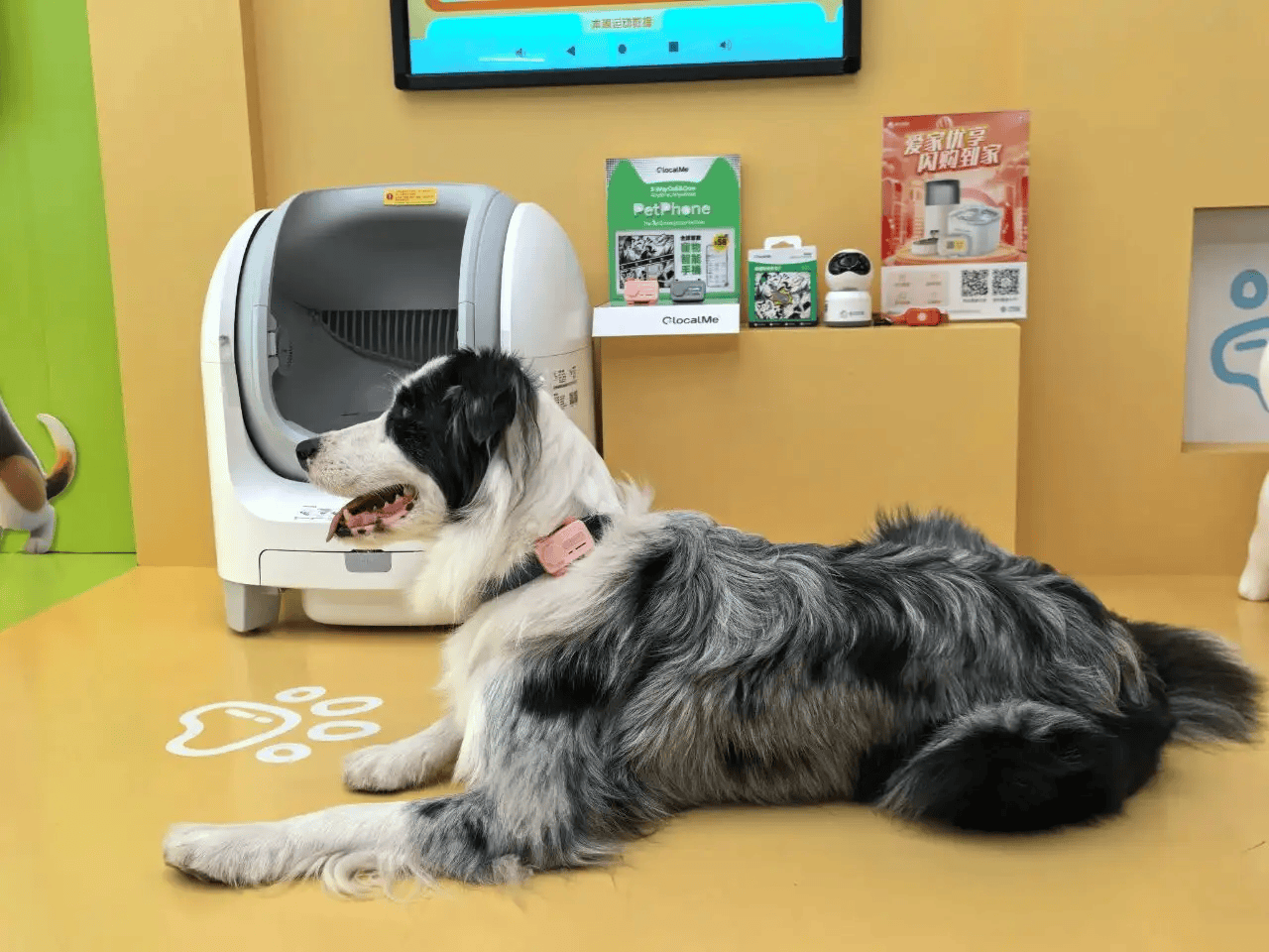 ：9大方向最火中企霸场机器人全明星乱斗澳门新葡京暴走2万步逛CES2026(图59)