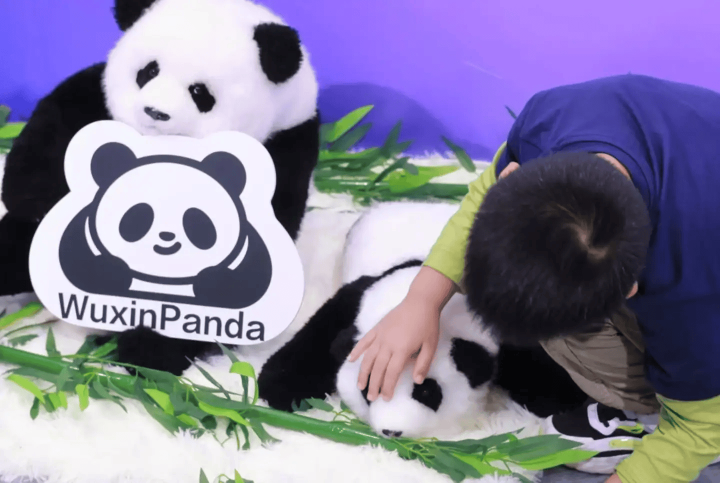 ：9大方向最火中企霸场机器人全明星乱斗澳门新葡京暴走2万步逛CES2026(图115)